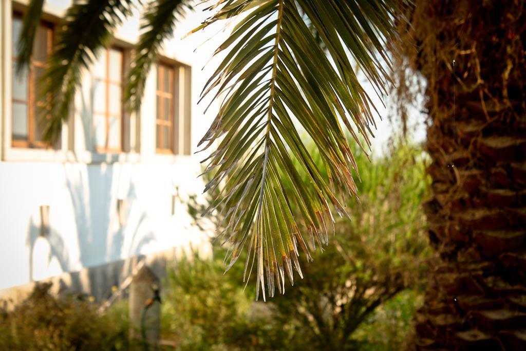 פורטו קובו Cabeca Da Cabra Casa De Campo מראה חיצוני תמונה